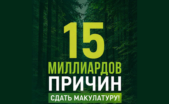 Около 3 триллионов деревьев растёт на Земле — но леса стремительно сокращаются!